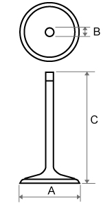 ENGINE VALVE